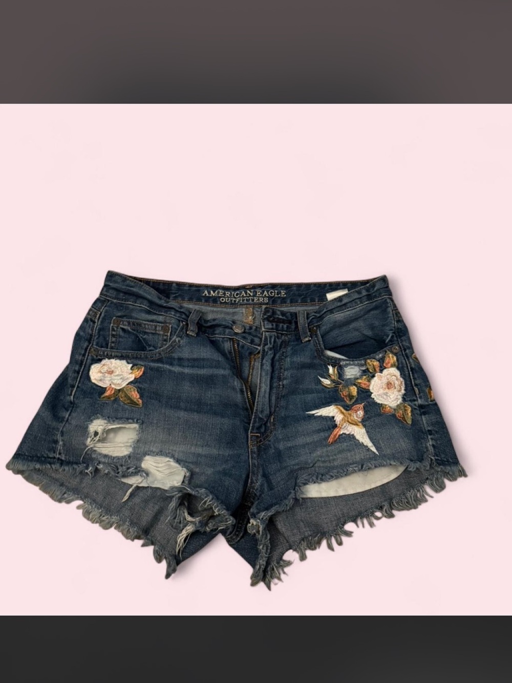 American Eagle Embroidered Hummingbird Floral Cutoff Distressed Shorts